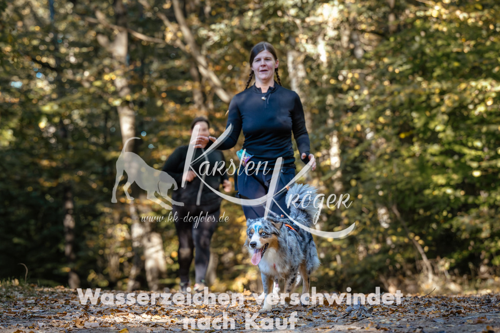 1118_ZZ91955 | kk-dogfotos