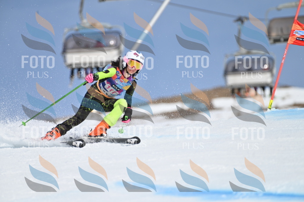 BGV_9750 | holidayphoto