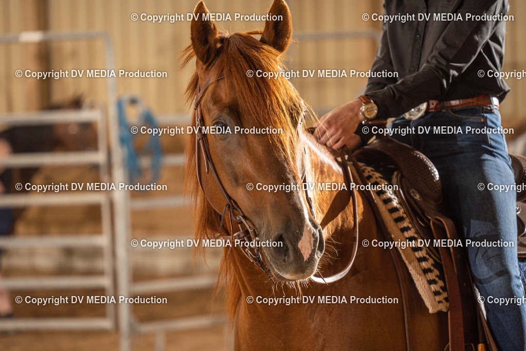 NID02497 | dv-media-shop - Realisiert mit Pictrs.com