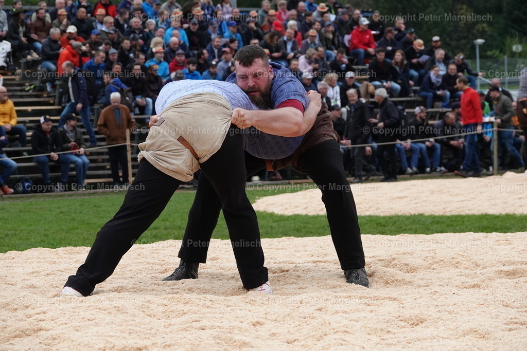 DSC03202 | Schwingen - Realisiert mit Pictrs.com