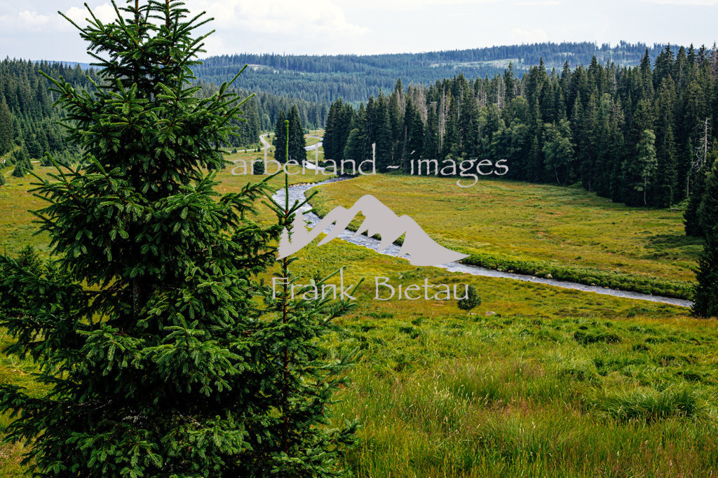 _Z5A4661 | Medien- Sport- Entertainmentfotos