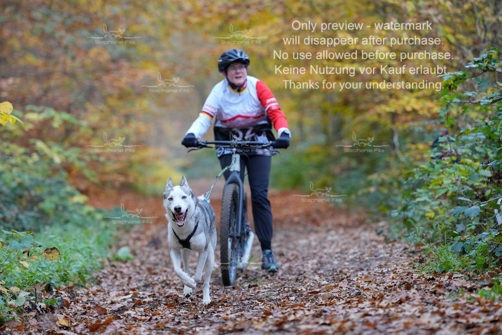 Scooter_So-87 | stephaniefillaphotographie - Realisiert mit Pictrs.com