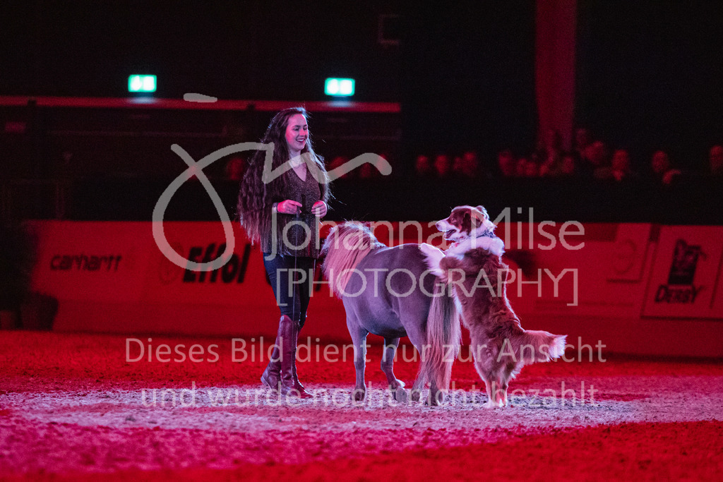 241102_Oldenburg_Show-339 | Deine schönsten Turniermomente als professionelle Fotos! Entdecke hochwertige Pferdesport-Fotografie im Online-Shop. Jetzt Fotos finden & bestellen!