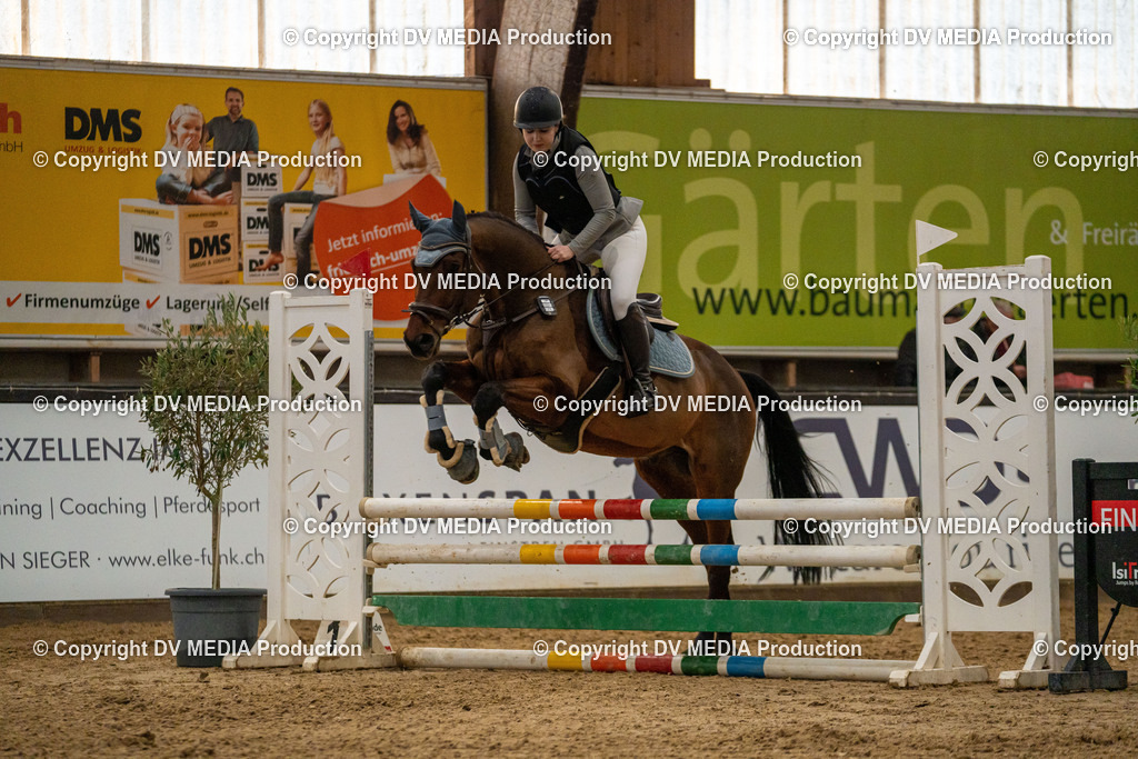 Kranichstein Tag 1-323 | dv-media-shop - Realisiert mit Pictrs.com