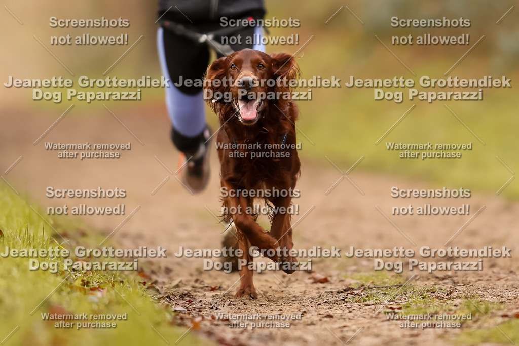Dog Paparazzi - Speedhunter Mannheim  2025-276 | Dog Paparazzi Jeanette Grottendiek Fotografie & Videografie