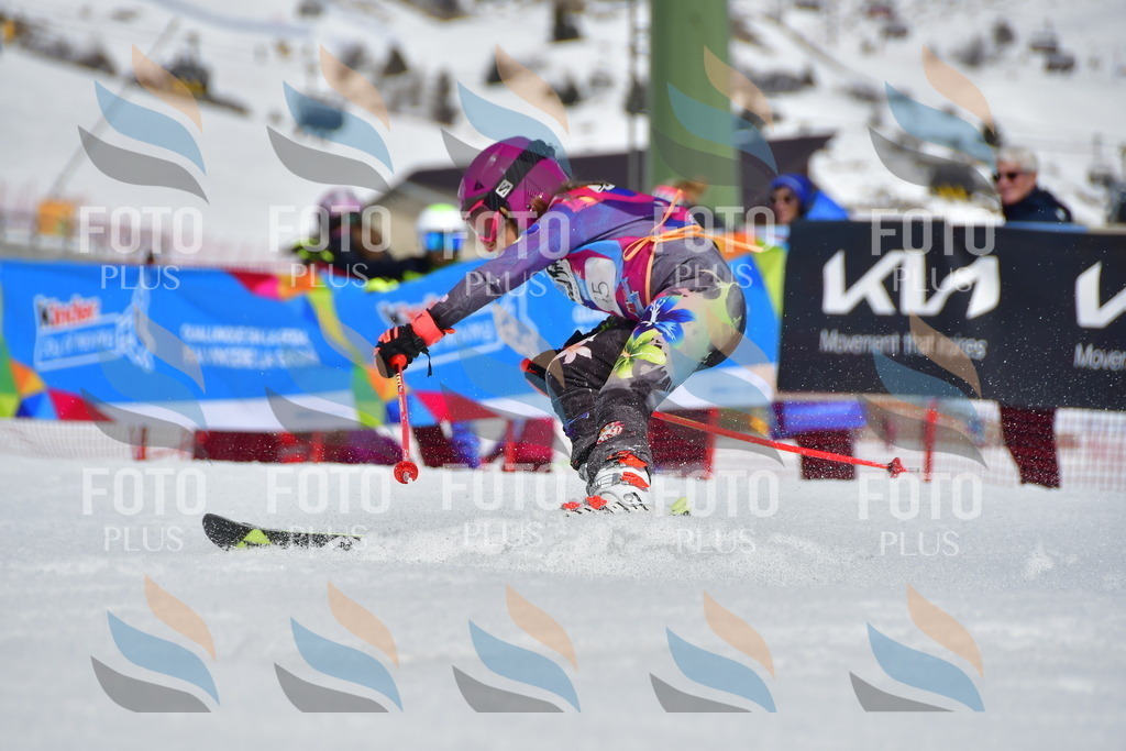 _DSC7381 | holidayphoto