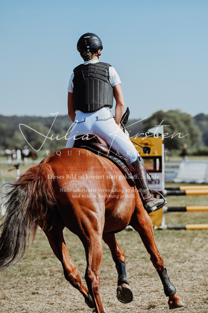 DSC_9437 | Pferde- und Turnierfotografie in Westsachsen. Pferdeportraits, Auftragszeichnungen und intuitive Kunst.