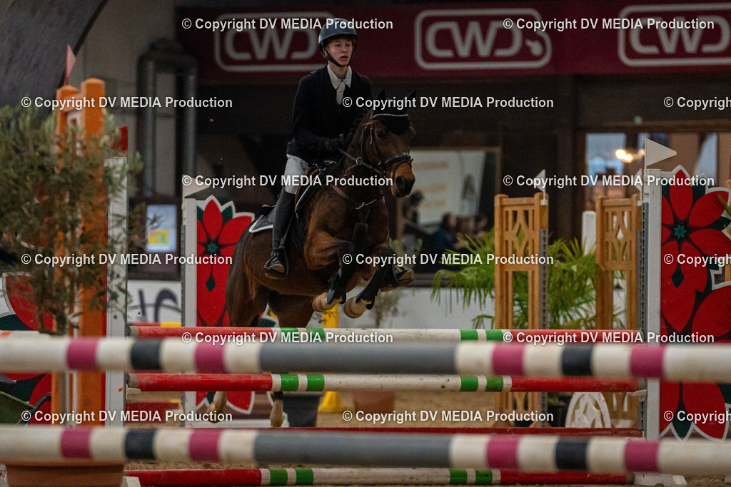 Kranichstein Tag 1-295 | dv-media-shop - Realisiert mit Pictrs.com