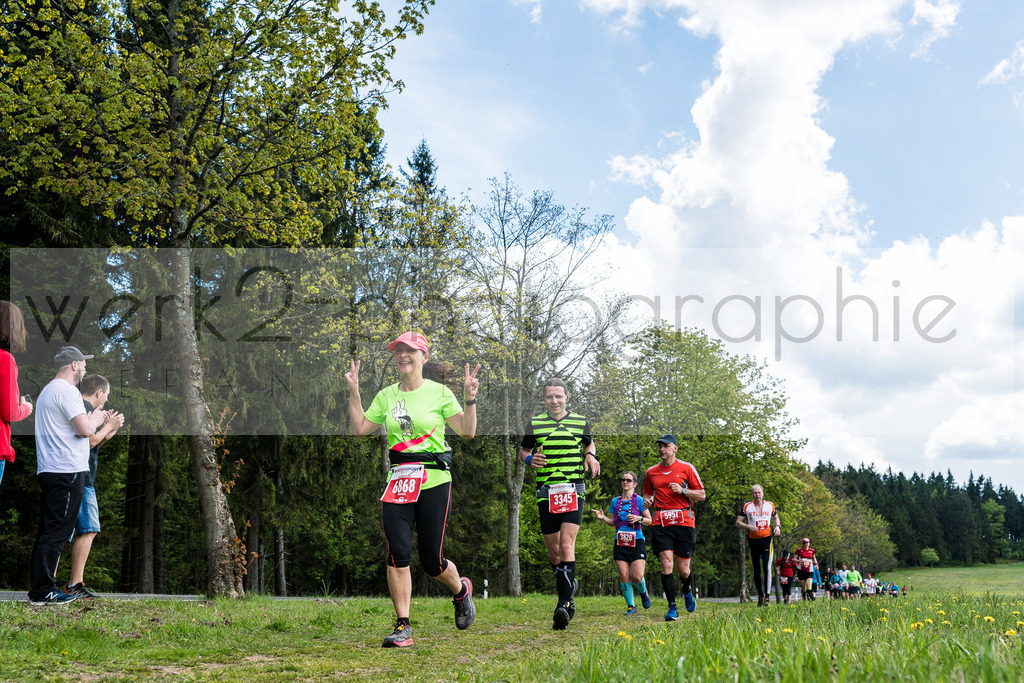 Rennsteiglauf 2019 | Marathon Neuhaus/Rwg. - Schmiedefeld am 18. Mai 2019