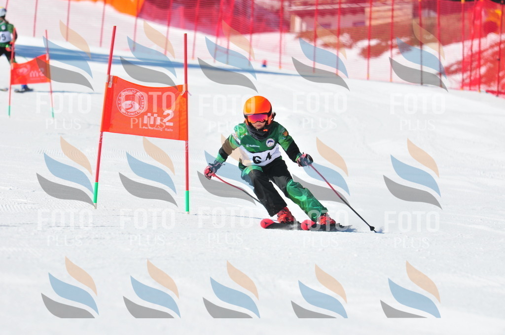 C2234 | holidayphoto