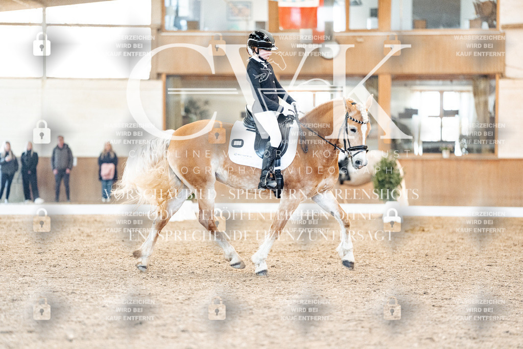CK907389 | Turnierfotografie Pferdefotografie Trier Rheinland-Pfalz Pferdesport Reitsport Tierfotografie Sportfotografie Pferdevideo Pferdevideografie Equestrianvideography equestrianphotography  - Realisiert mit Pictrs.com