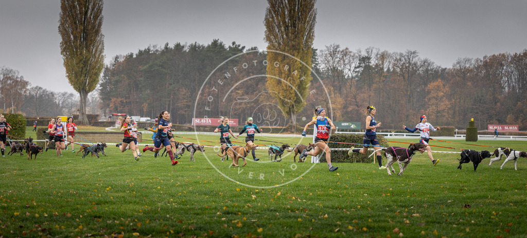CaniXpix_DV3A8772 | Hundefotografie, Tierfotograf, Pfotenfotografie, Fotoshooting Hund, Hunde Portrait, Hundesport, Hundeportraits, Heideshooting, Hunde, Sportfotograf, Hundefotograf, Turnierhundsport, THS,  - Realisiert mit Pictrs.com