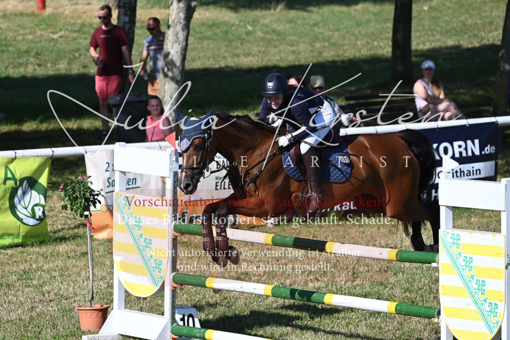 DSC_2452 | Pferde- und Turnierfotografie in Westsachsen. Pferdeportraits, Auftragszeichnungen und intuitive Kunst.