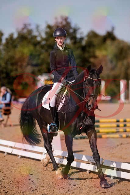2026_10_03_Siefer-Hof_115422_Z81_93421484 | Professionelle Reitsport-, Turnier- und Eventfotografie von Robert Broda. Galerien mit ausgewählten und bearbeiteten Bildern direkt online ansehen und bestellen.