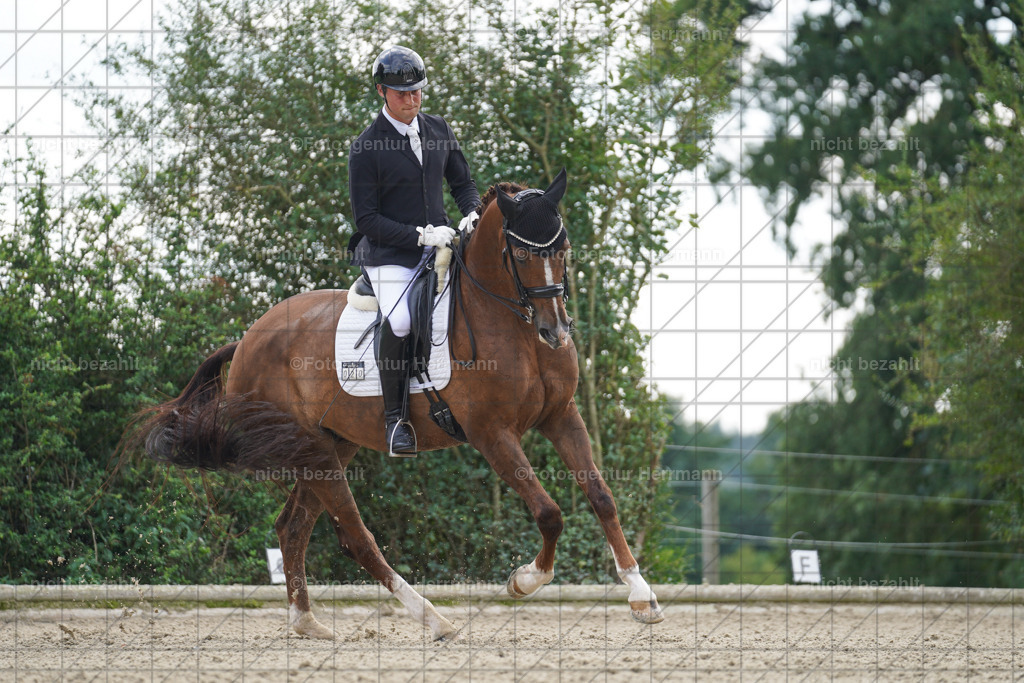 20230826-FAH05937 | Forstinning, 2023, Dressurturnier, Turniersportbilder, Turnierfotografen Bayern, Fotoagentur Herrmann, Reitsportfotografie, Turnierbilder