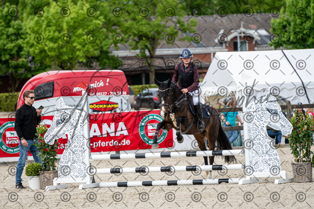 KPT_6079 | andre_photographic