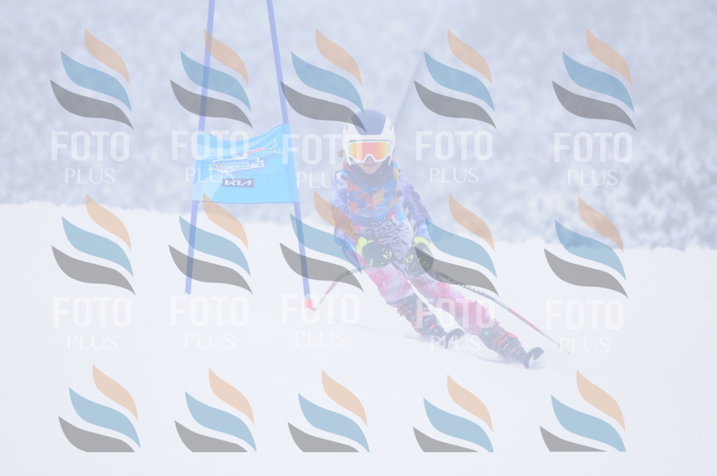 C3500 | holidayphoto