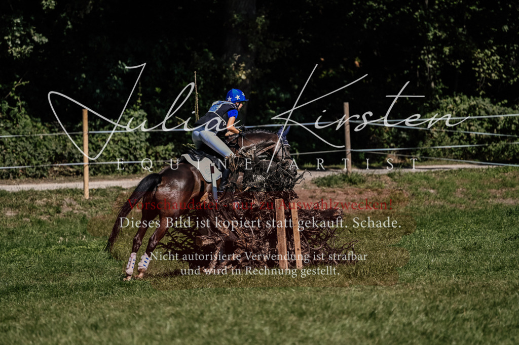 DSC_1698 | Pferde- und Turnierfotografie in Westsachsen. Pferdeportraits, Auftragszeichnungen und intuitive Kunst.