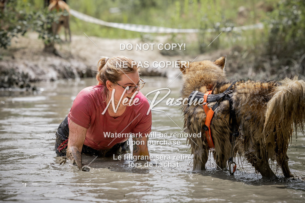 nelerasche_so1300-1330_09 | nelerasche