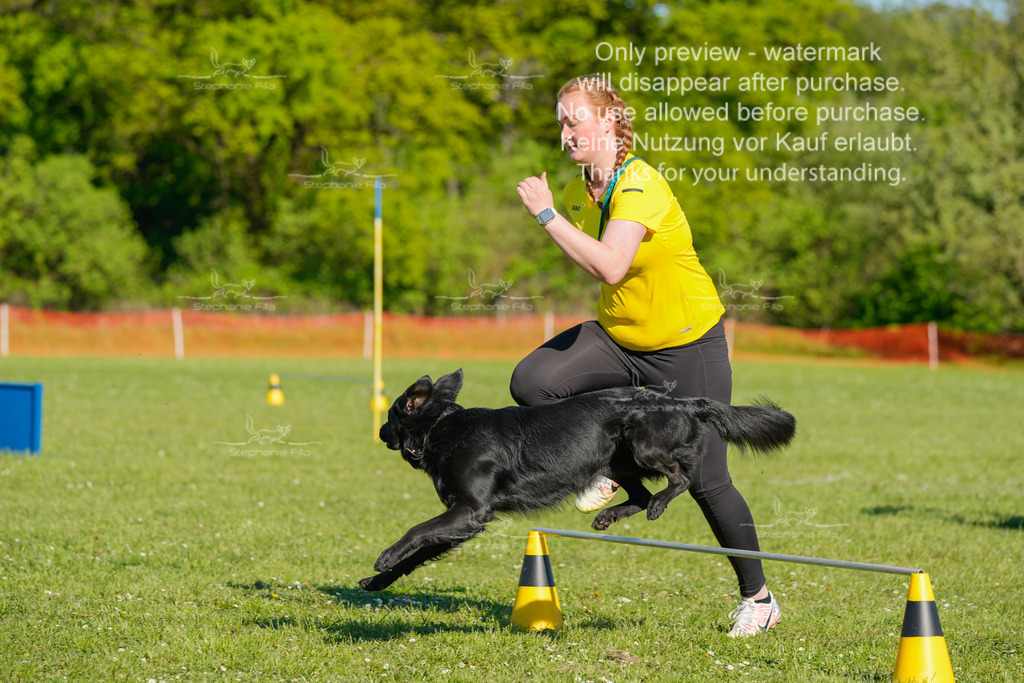 Sa_CSC-418 | stephaniefillaphotographie - Realisiert mit Pictrs.com