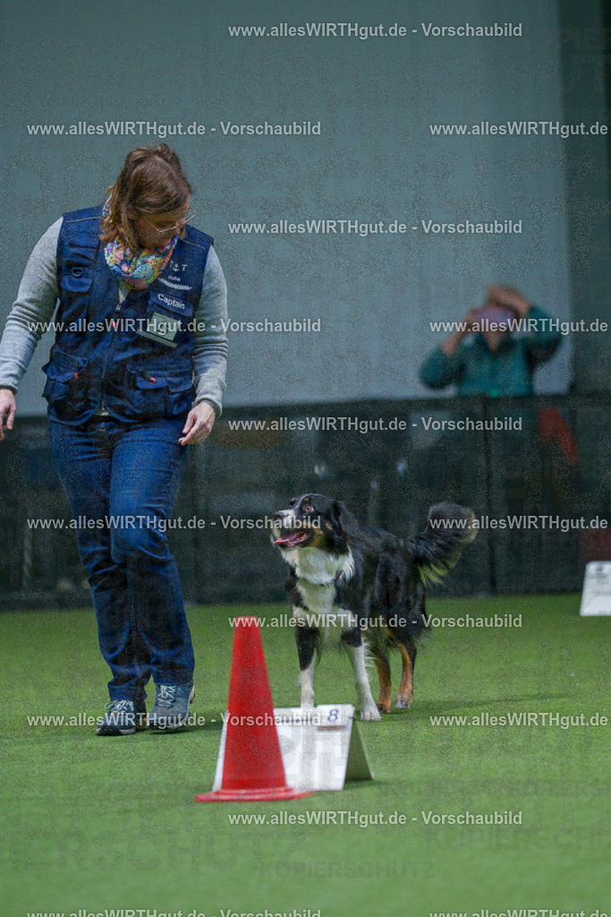 7R500546 | Professionelle Tierfotografie in Mönchengladbach von Daniel Wirth (allesWIRTHgut). Liebevolle & natürliche Bilder von Hunden & Katzen für unvergessliche Erinnerungen.