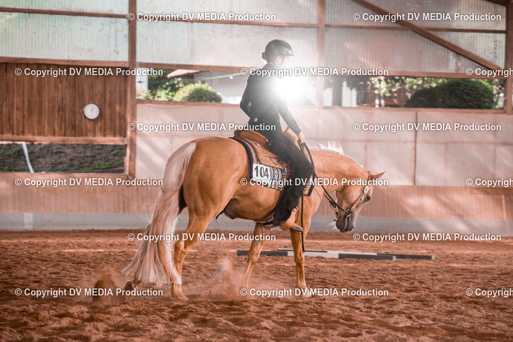 NE200223 | dv-media-shop - Realisiert mit Pictrs.com