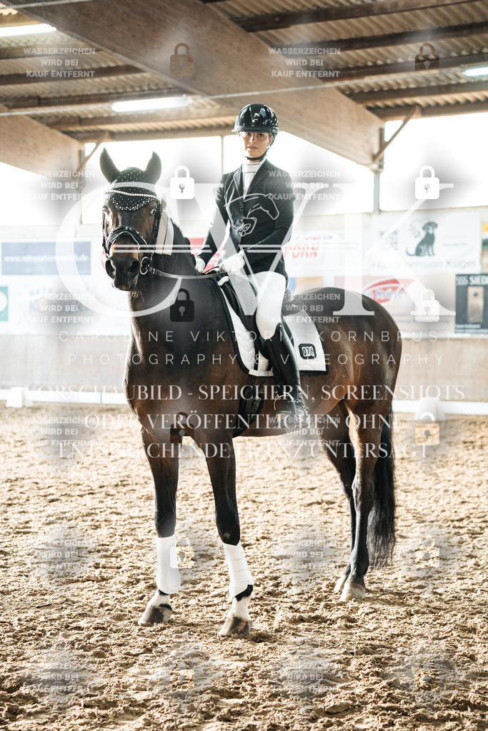 CK703155 | Turnierfotografie Pferdefotografie Trier Rheinland-Pfalz Pferdesport Reitsport Tierfotografie Sportfotografie Pferdevideo Pferdevideografie Equestrianvideography equestrianphotography  - Realisiert mit Pictrs.com