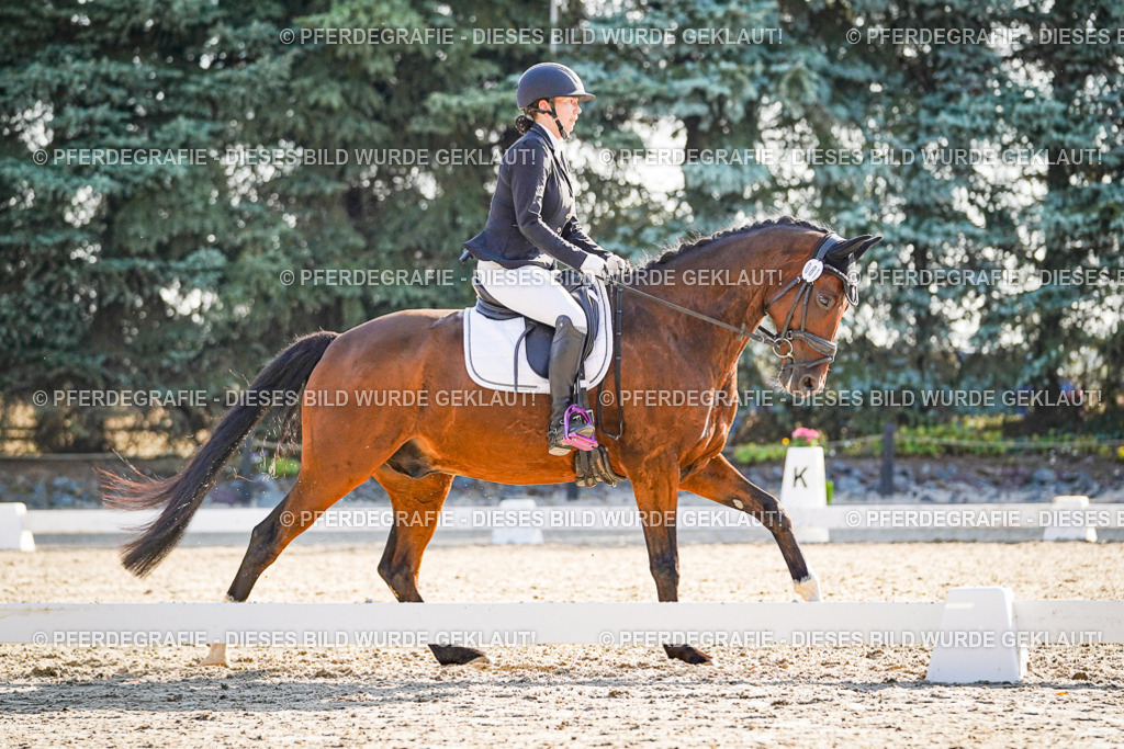 DSC09088 | Pferdegrafie