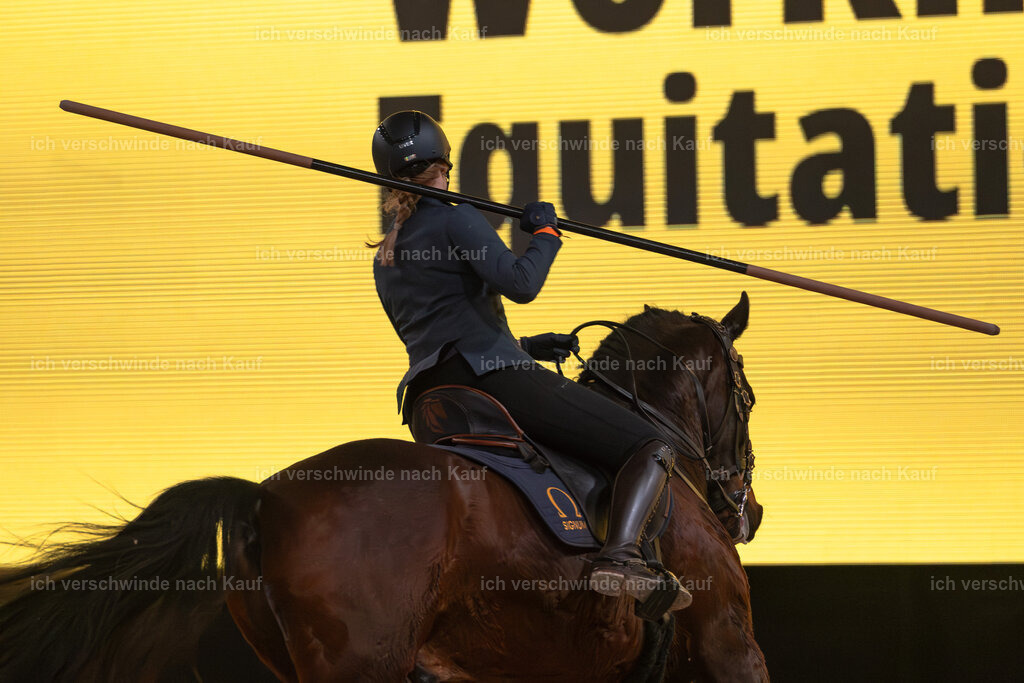 JoseraCup-86 | working equitationturnier fotograf videograf stoibphotography marixx film working equitation deutschland reitsport turnierfotografie eventfotografie equestrian events