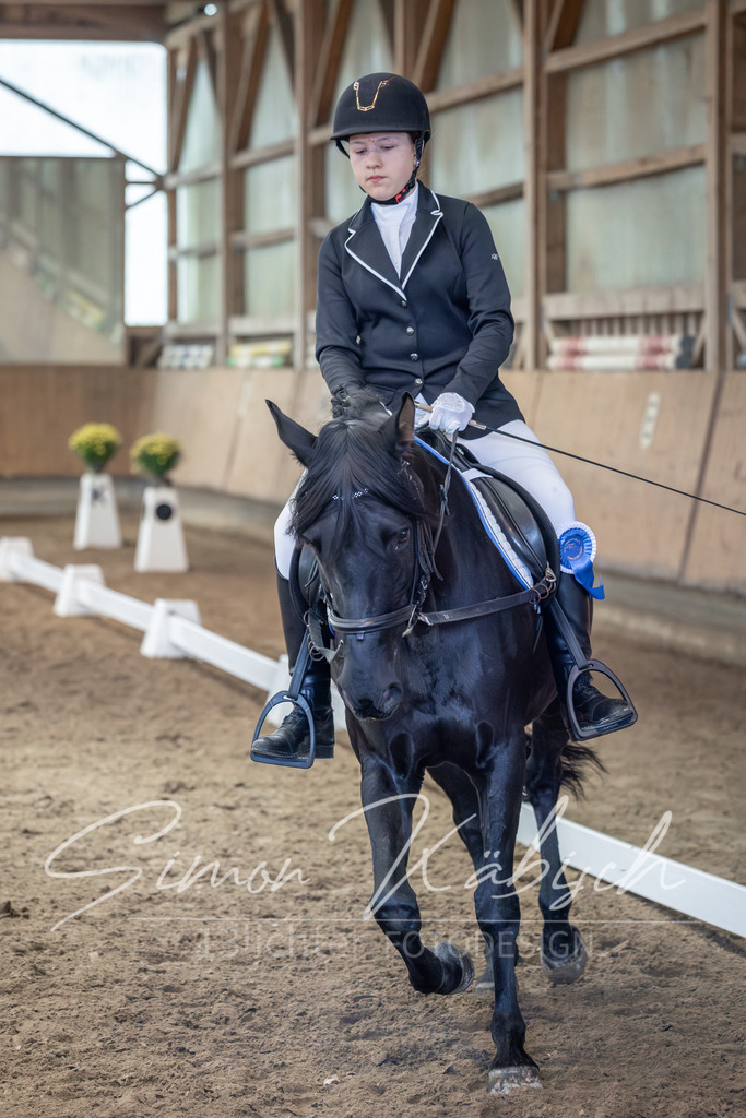 20251011-_3LI7909 | Tierfotografie Pferde, Hunde, Katzen, Haustiere.
Turnierfotografie Reitturniere, Reiten, Springreiten, Dressur in Hanau, dem Main-Kinzig-Kreis und dem Rhein-Main- Gebiet um Frankfurt