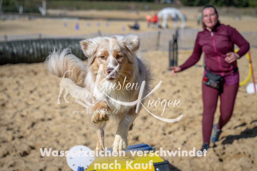 1220_ZZ92875-2 | kk-dogfotos
