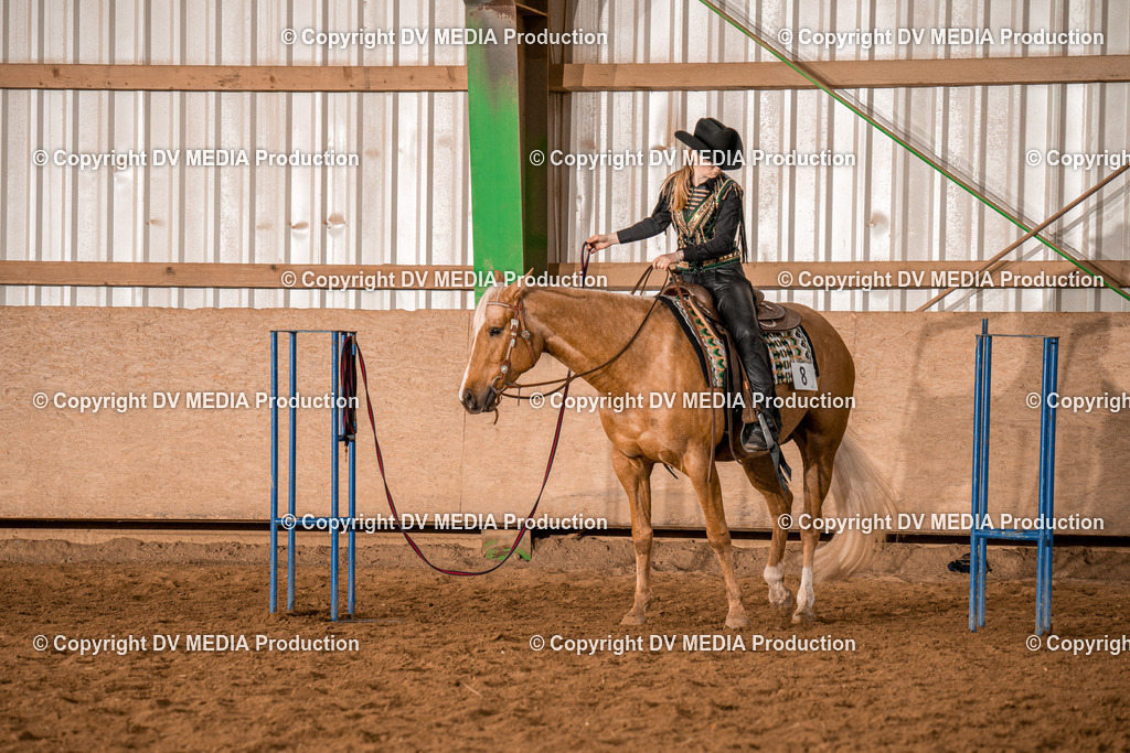 BAL00526 | dv-media-shop - Realisiert mit Pictrs.com