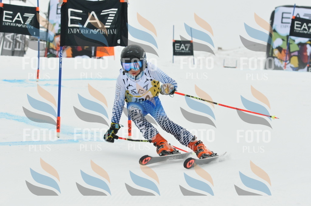 DSC_8667 | holidayphoto