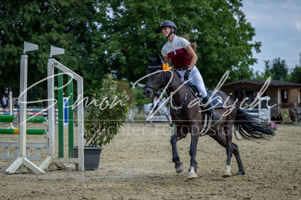 20260704-_3LI1104 | Tierfotografie Pferde, Hunde, Katzen, Haustiere.
Turnierfotografie Reitturniere, Reiten, Springreiten, Dressur in Hanau, dem Main-Kinzig-Kreis und dem Rhein-Main- Gebiet um Frankfurt