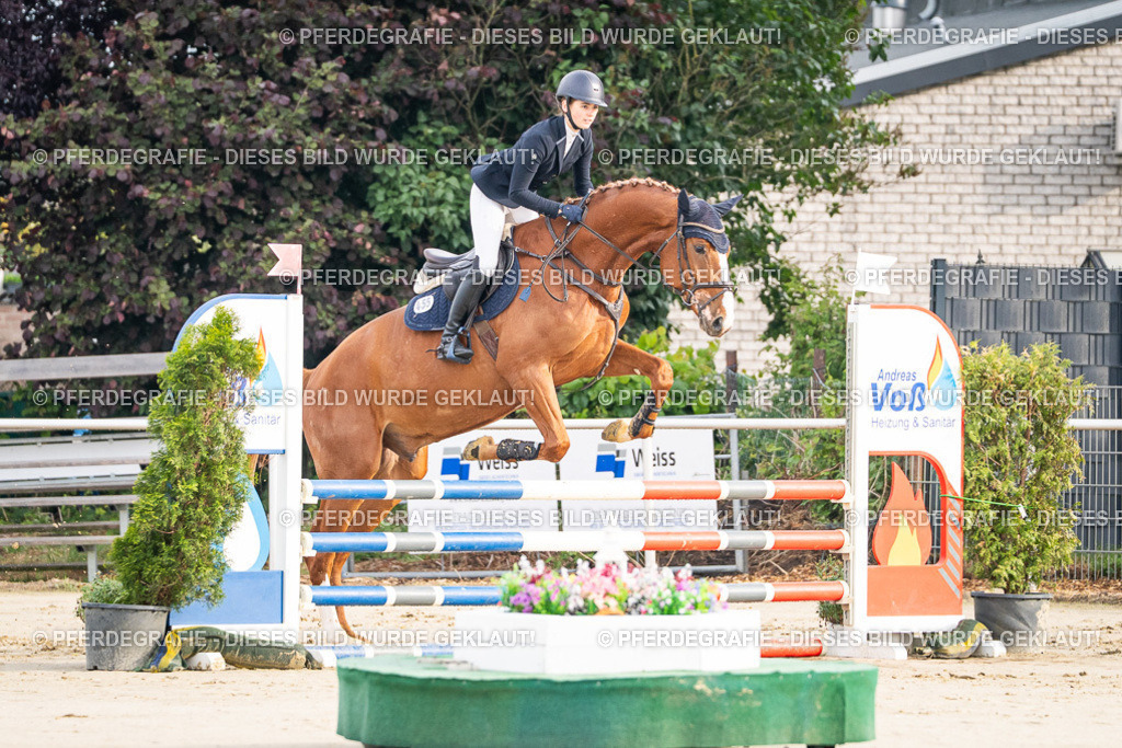 DSC07796 | Pferdegrafie