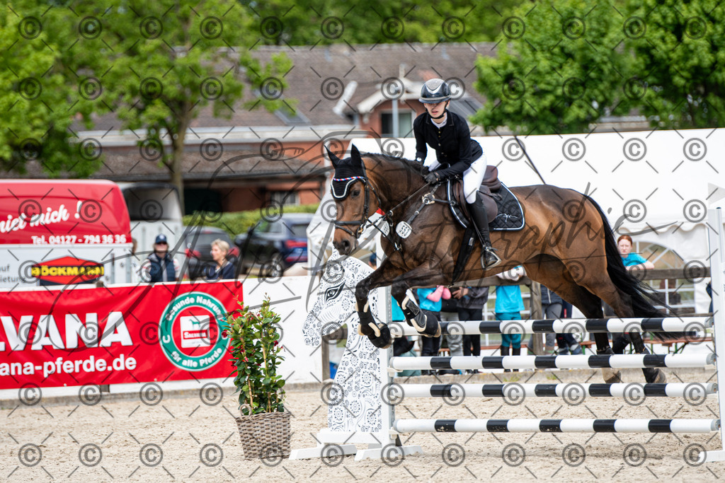 KPT_5501 | andre_photographic