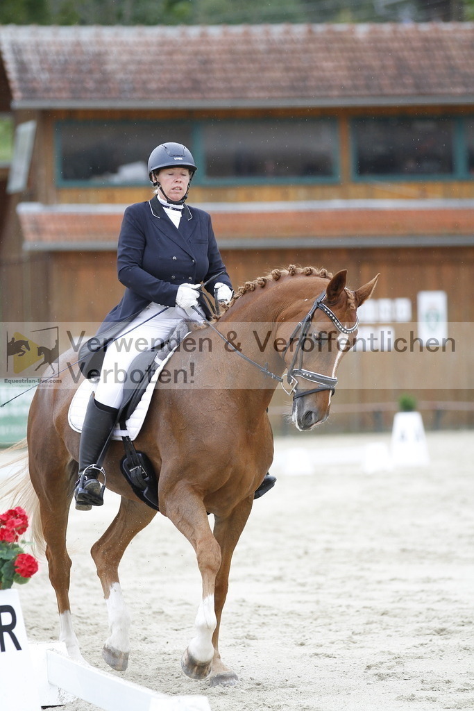 _MG_5386 | equestrian-live-com