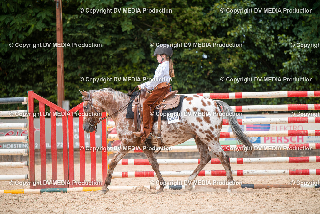 EWP_6632 | dv-media-shop - Realisiert mit Pictrs.com