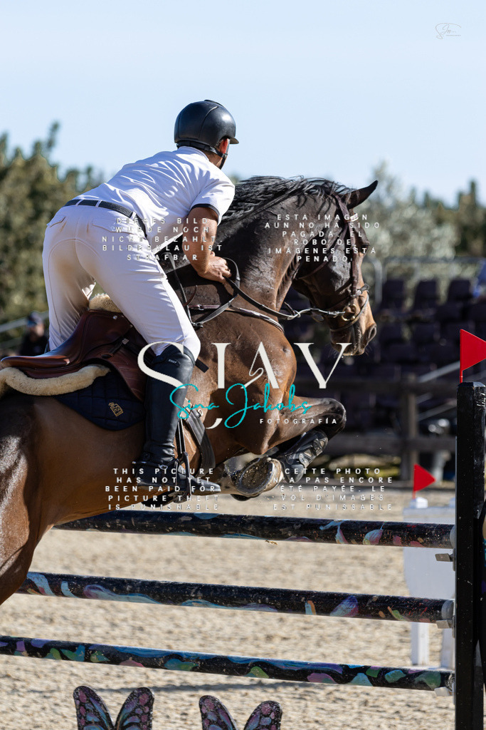 IMG_0098 | s-jay-photography - Realisiert mit Pictrs.com