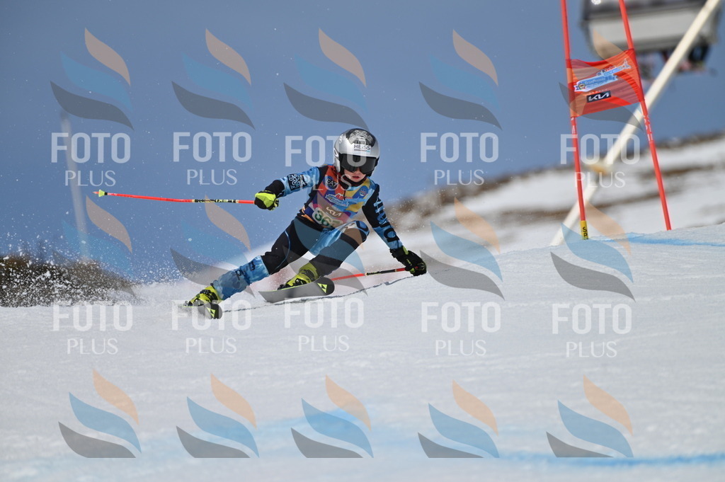 BGV_7251 | holidayphoto