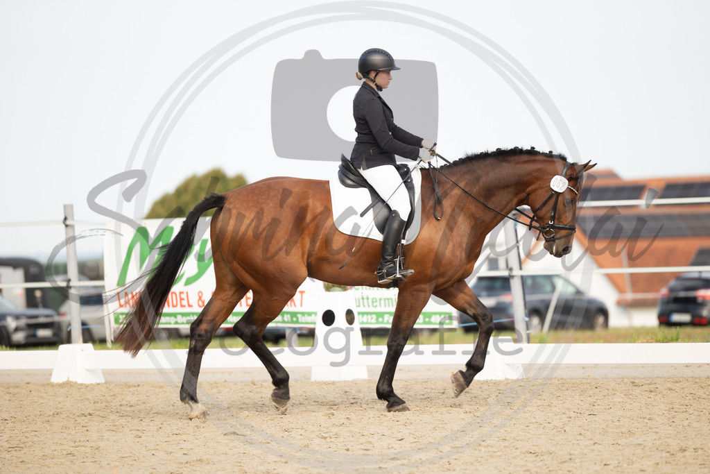 994A1144 | sabrinanicolaifotografie - Realisiert mit Pictrs.com