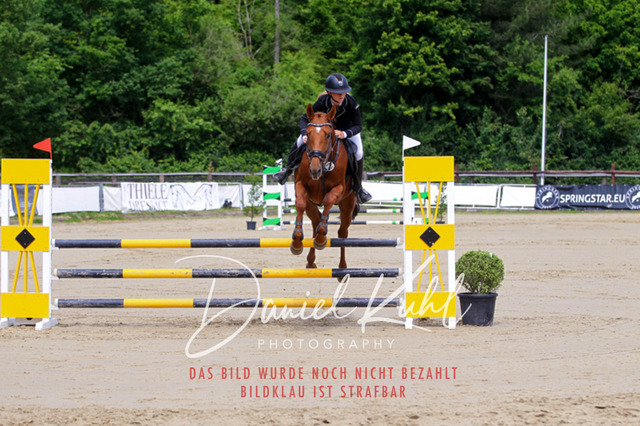 DKP41537 | Turniersportfotografie; Pferdefotografie; Dressurfotografie