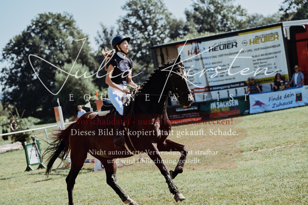 DSC_5911 | Pferde- und Turnierfotografie in Westsachsen. Pferdeportraits, Auftragszeichnungen und intuitive Kunst.