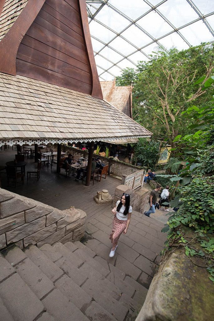 Gondwanaland im Zoo Leipzig | Das Team hinter BILDLEXIKON LEIPZIG bündelt historische wie aktuelle Informationen über die Stadt Leipzig in Text und Bild auf einer Plattform und stellt diese der interessierten Öffentlichkeit zur Verfügung.