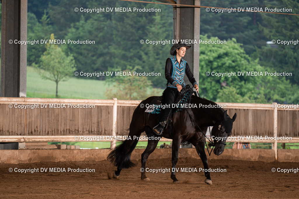 Erbach Tag 4-205 | dv-media-shop - Realisiert mit Pictrs.com