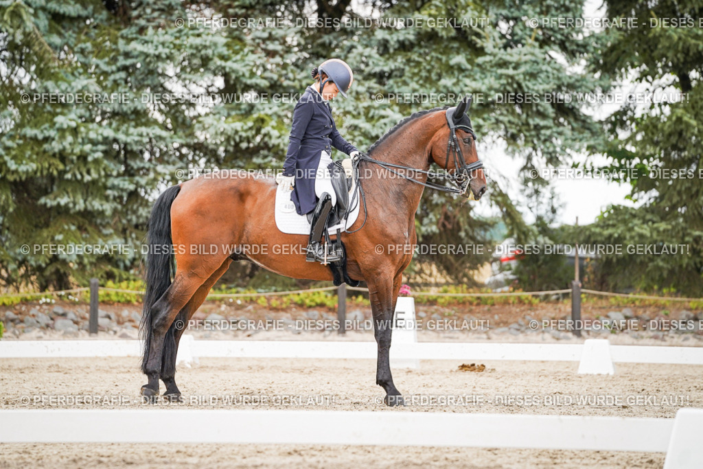 DSC05442 | Pferdegrafie