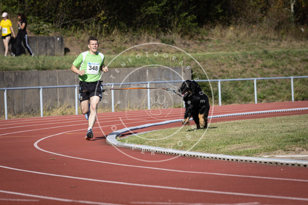 Pfotenfotografie_DV3A8903 | Hundefotografie, Tierfotograf, Pfotenfotografie, Fotoshooting Hund, Hunde Portrait, Hundesport, Hundeportraits, Heideshooting, Hunde, Sportfotograf, Hundefotograf, Turnierhundsport, THS,  - Realisiert mit Pictrs.com