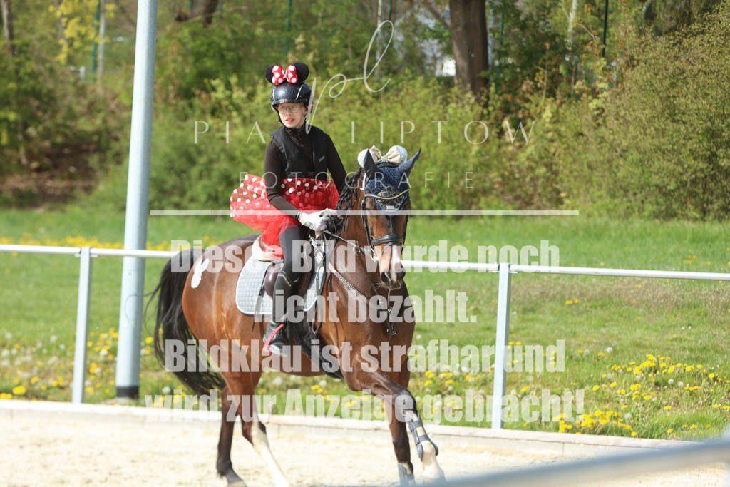 IMGM6552 | pl-fotografie