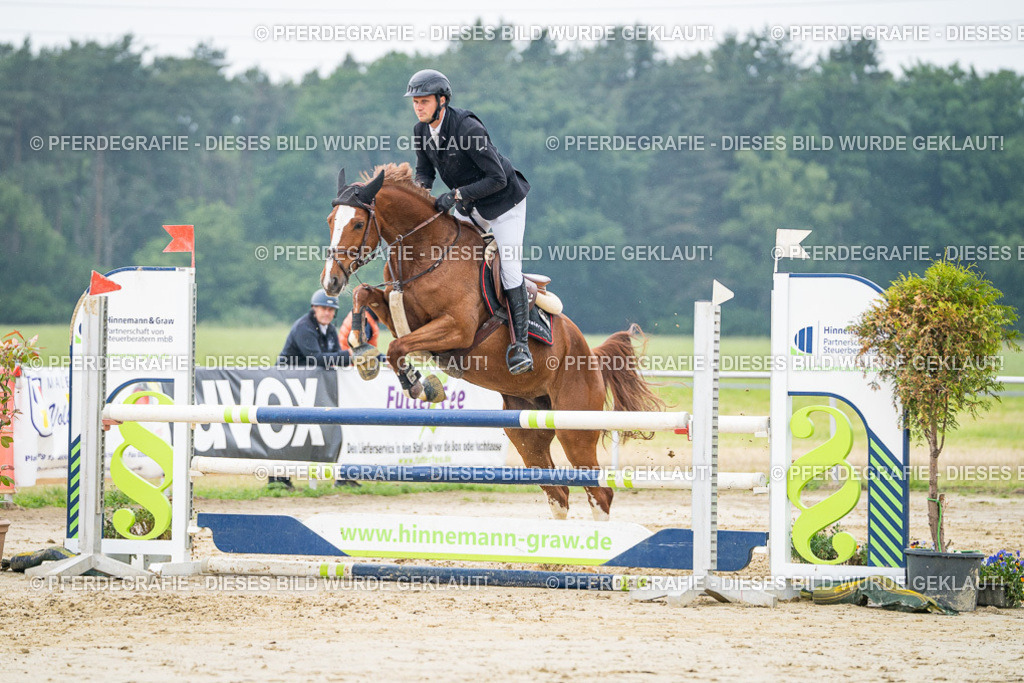 DSC00676 | Pferdegrafie