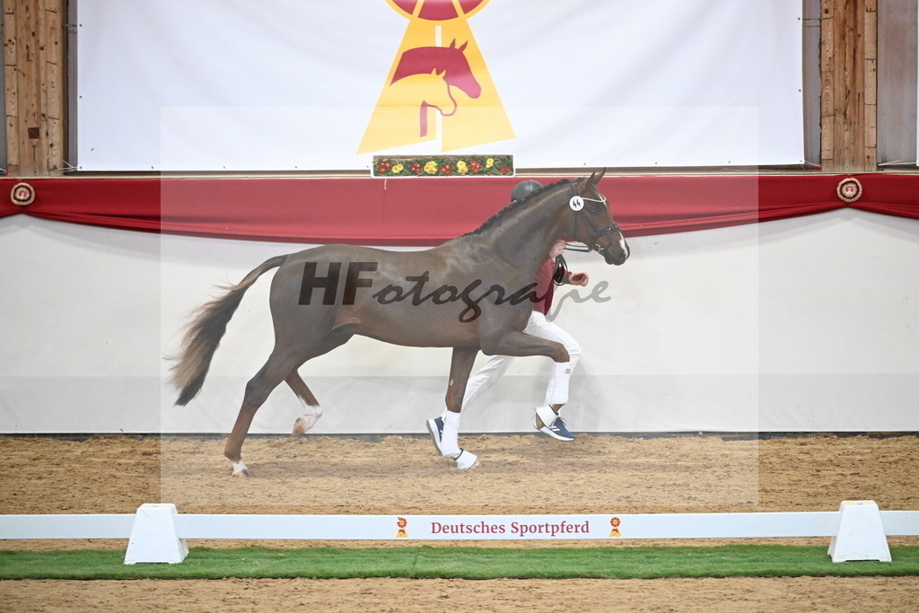 Kat.-Nr. 44 v. Bonds_Berger_2250091 | hf-fotografie - Realisiert mit Pictrs.com